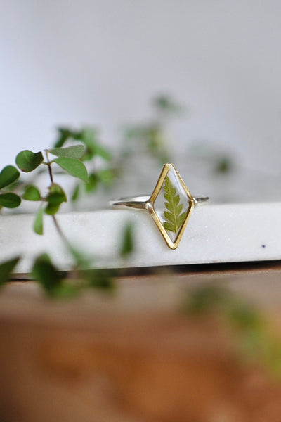 Dried Fern Resin Ring Botanical Jewelry