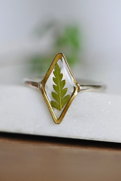 Dried Fern Resin Ring Botanical Jewelry
